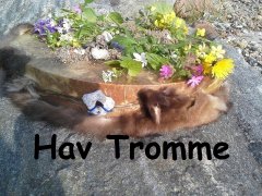 Havtromme